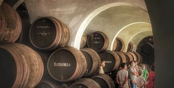 Planes para disfrutar de los Vinos de Jerez en un entorno incomparable